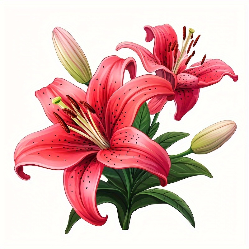 

Lily Flower Vinyl Sticker, High Double-sided Print, -resistant, Motorcycle & Car Bumper Decal, Vehicle Body Decor