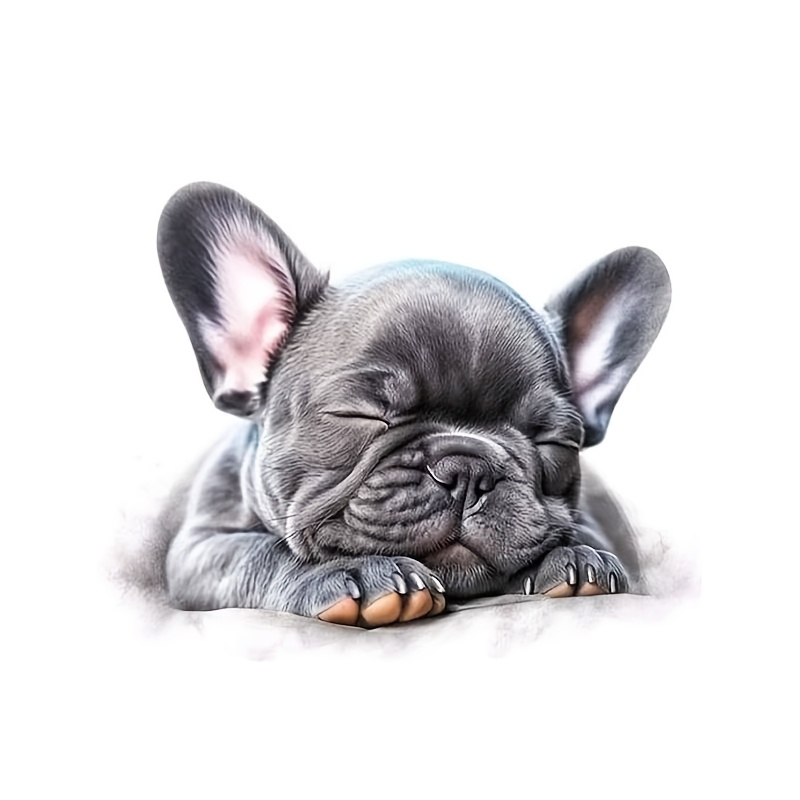 Advanced Waterproof Vinyl Stickers Of A 6-inch French Bulldog, Perfect For Use On Vehicles, Laptops, Bottles, Trucks, Smartphones, Motorcycles, Windows, Walls, And Cups