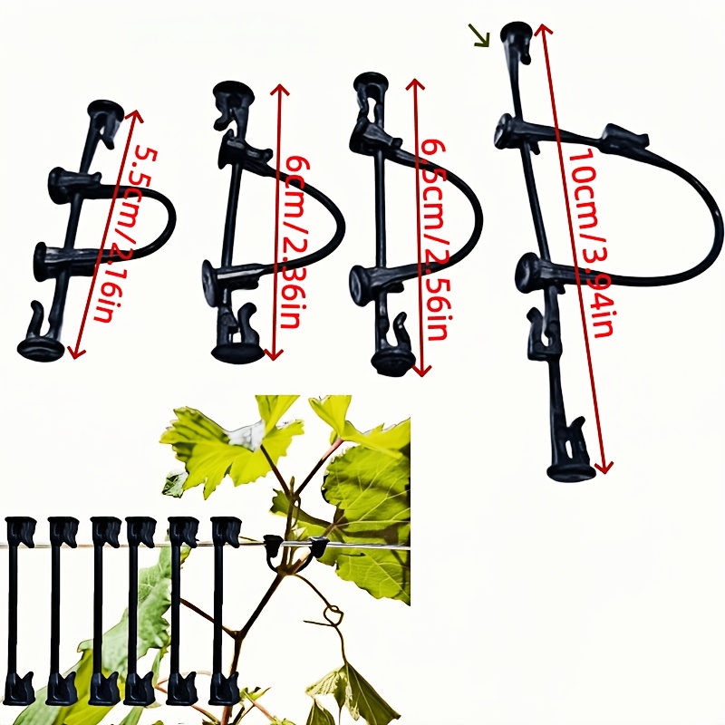 TEMU Fibbia di fissaggio per piantine/racemi di , adatta per piantare uva/alberi da frutto/ortaggi e clip di fissaggio per supporto piante, un buon