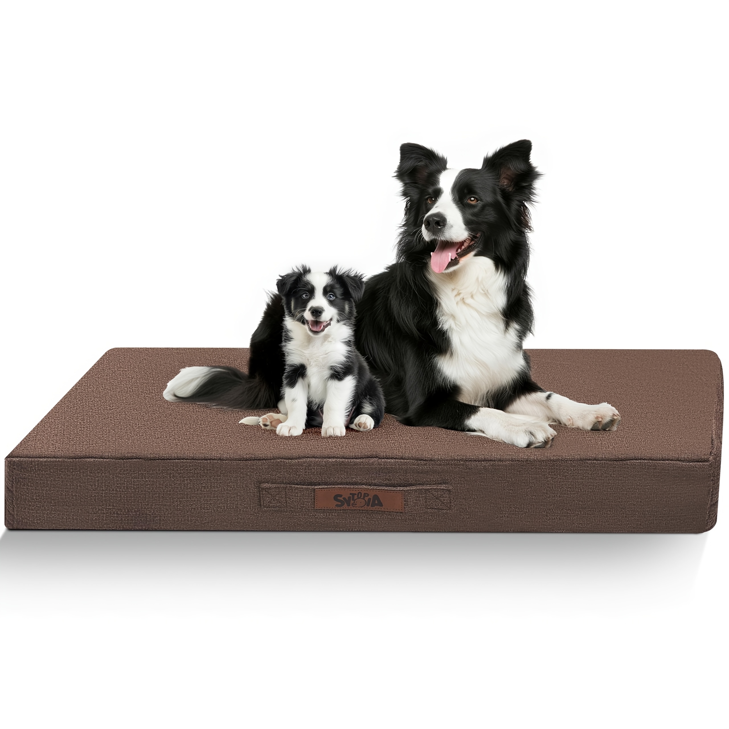 PRODUCTOS_ _POINT temu