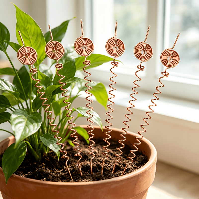 TEMU Lot de 6 tuteurs en cuivre pour plantes, tuteurs de jardin robustes en bobine d'antenne de cuivre pour une absorption améliorée des nutriments,