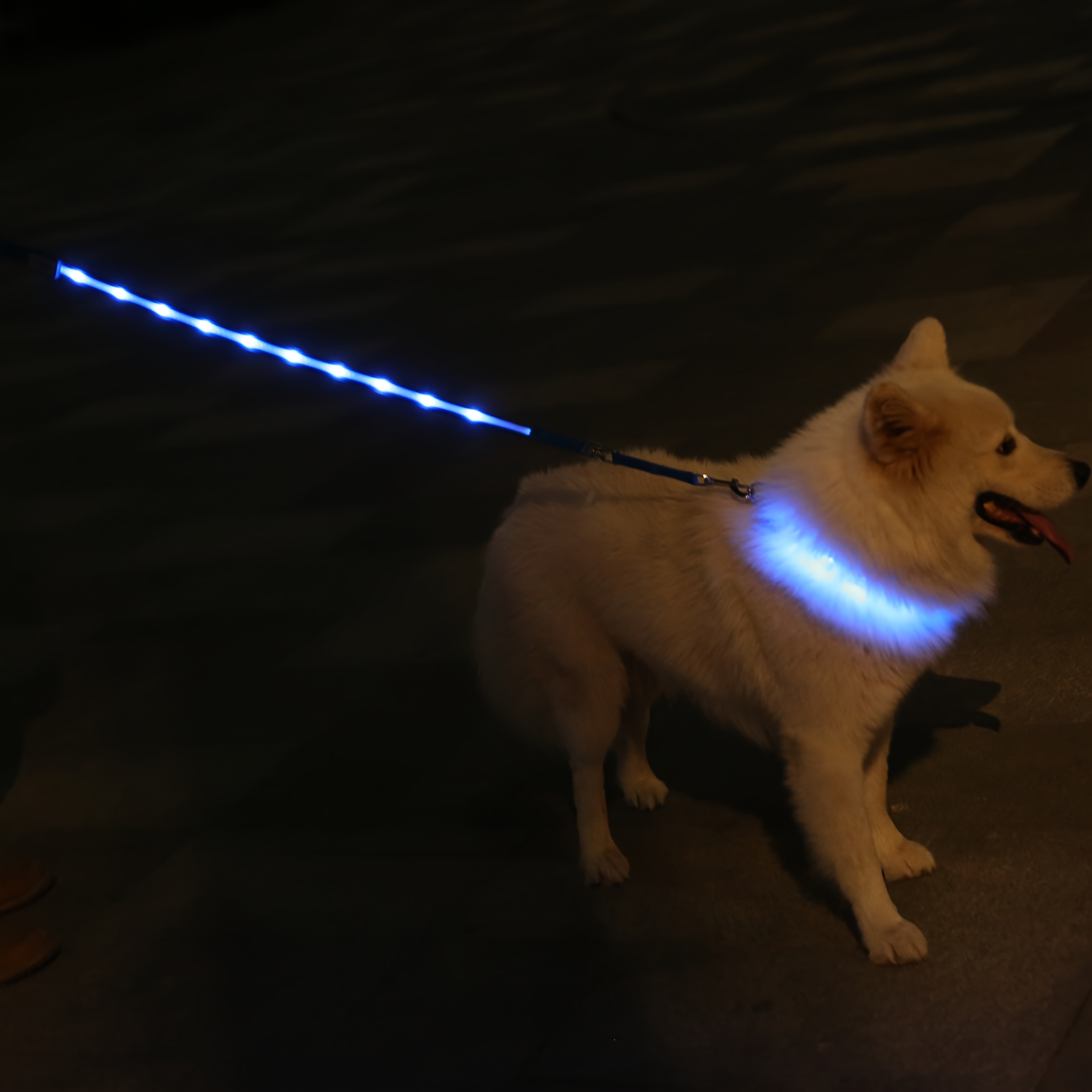LED Nylon Pet Luminous Collar and Leash Set