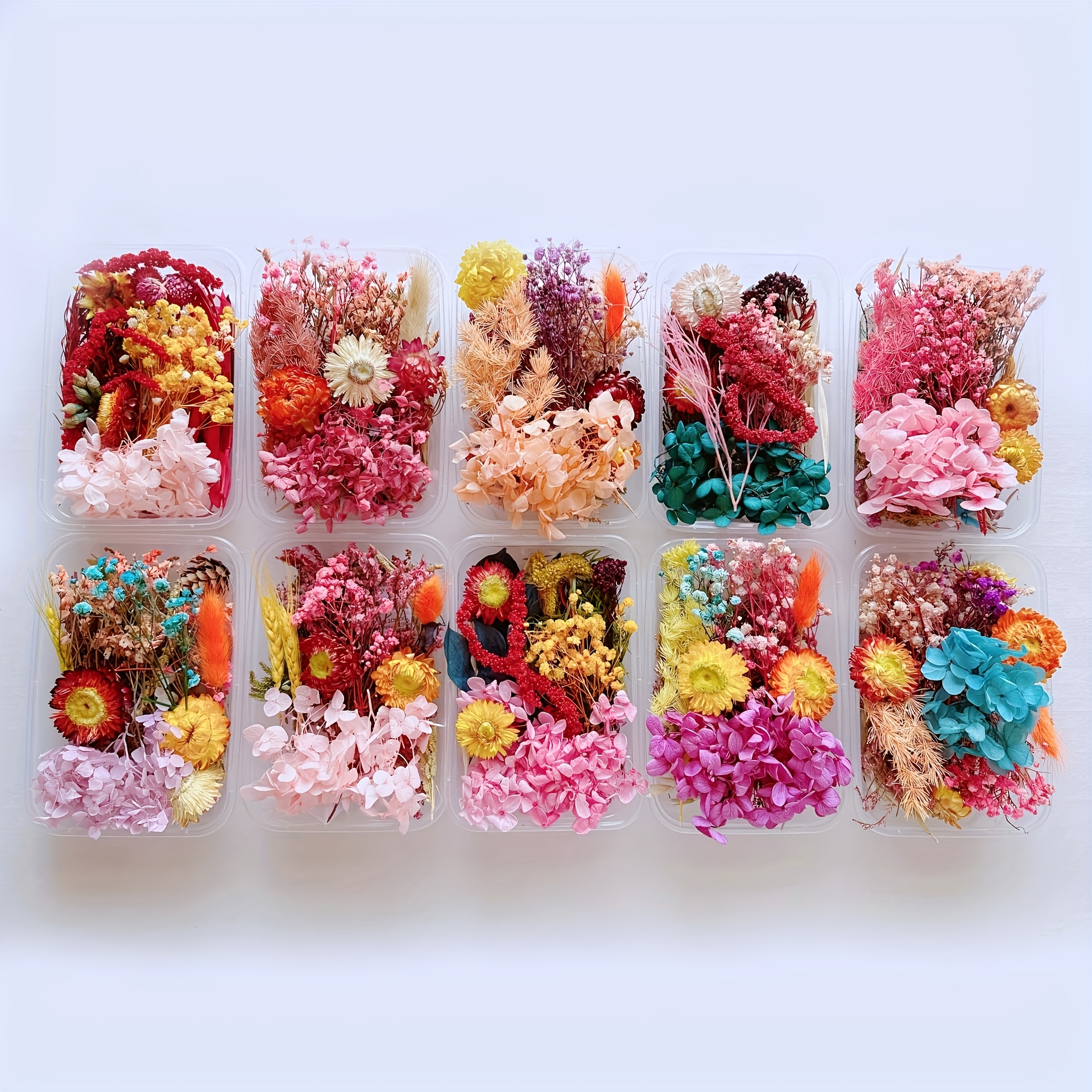 TEMU 1pc Random Dried Flowers, Eternal Flowers, Diy Handmade Materials, Handmade Sets, Craft Supplies, Diy Photo Frames, Flower Garlands, Wedding Headpieces, Coasters, Birthday Gifts