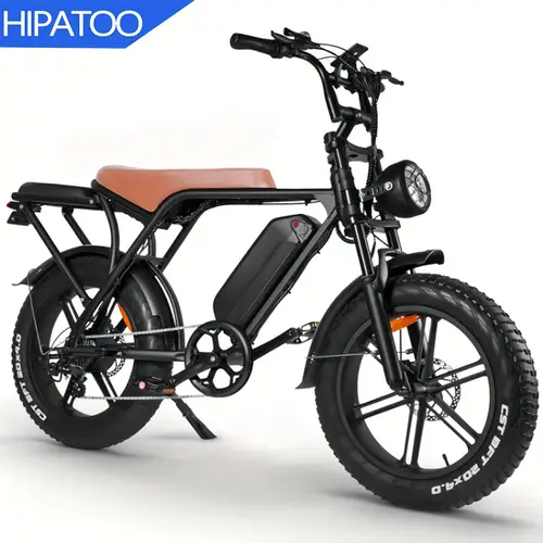 Temu Rims electric bike sold on Temu United States