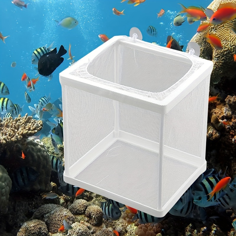 fancy fish box Enameled Metal Goldfish Shaped Trinket translucent porcelain for which Herend is famous The King of Tiny Fish