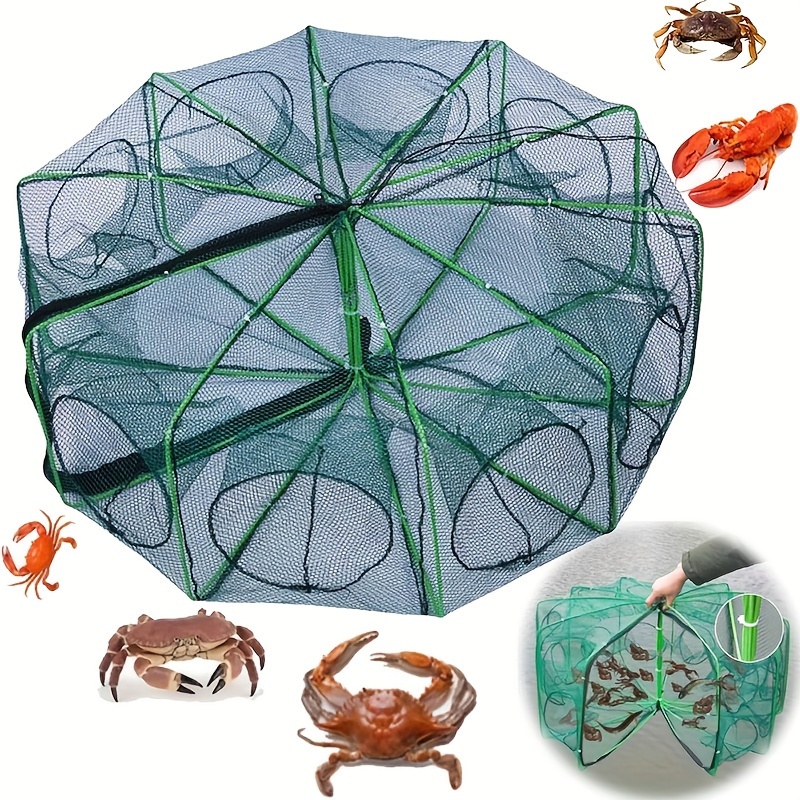 Piège à Poissons Pliable, Filet Pour Appâts, Crabes, Pêche, Neuf, Générique