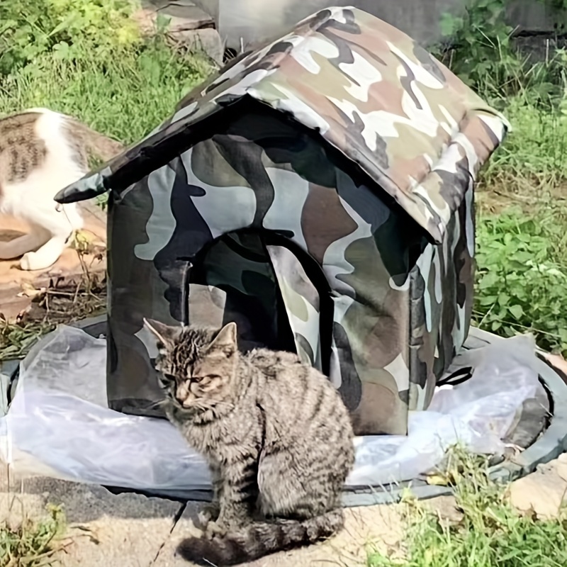 Stray Dogs Shelters Near Me That Take Cats Puppy Rspca Free