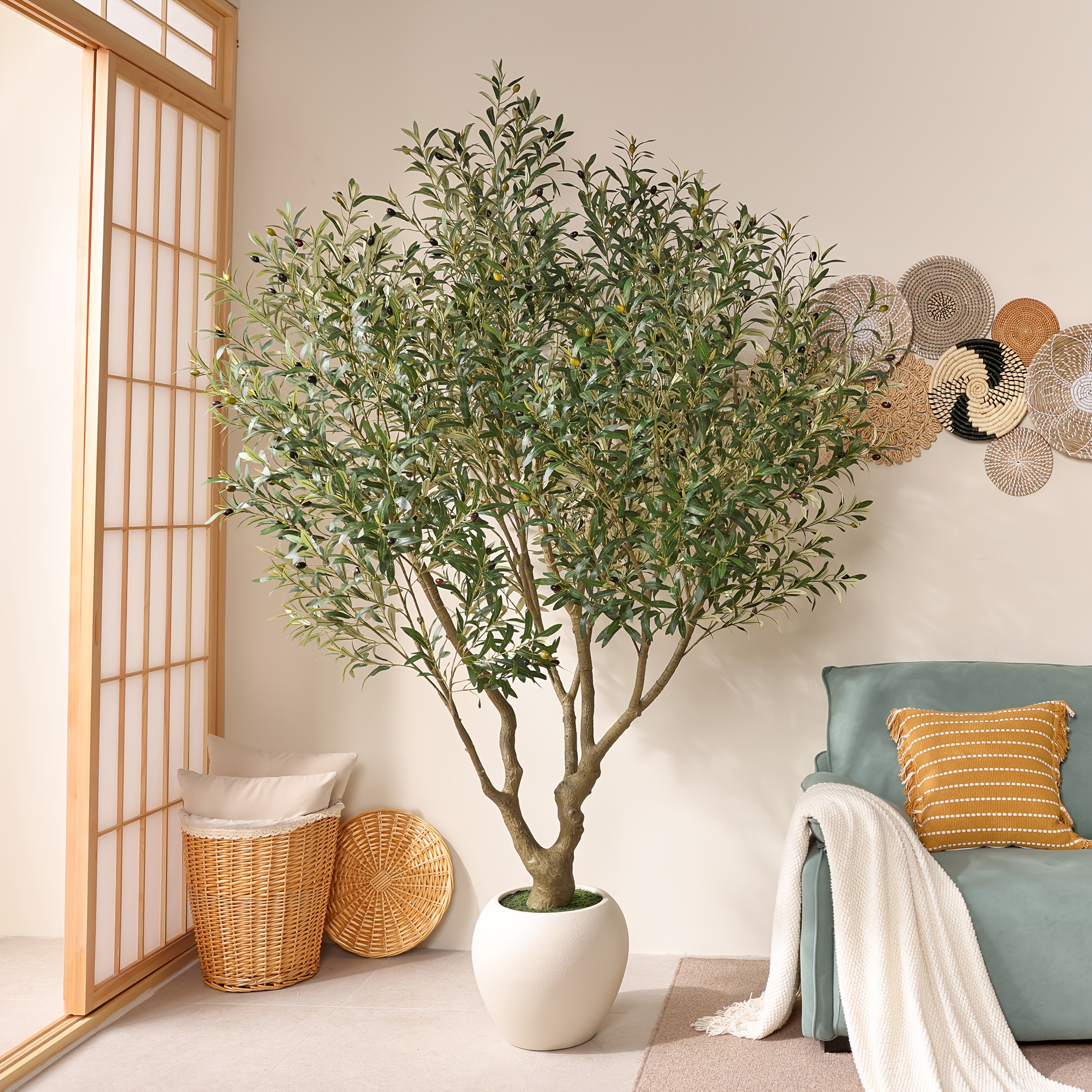 olive tree sold on Temu United States