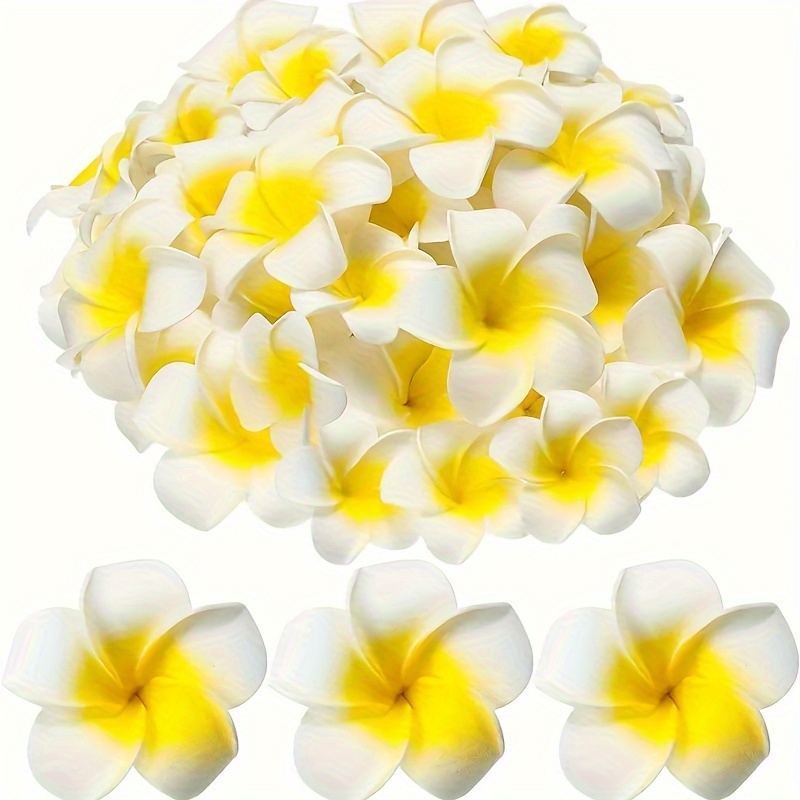 plumeria flowers sold on Temu Canada