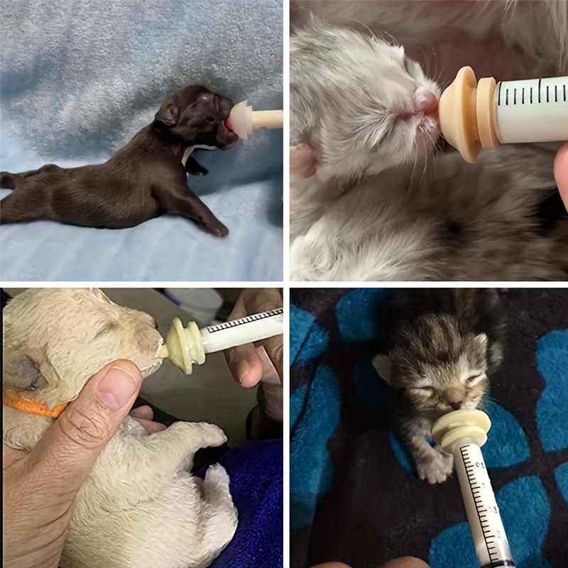 Feeding newborn puppy with cheap syringe