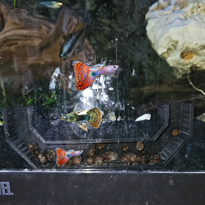 Fish Aquarium Accessories - Temu Canada