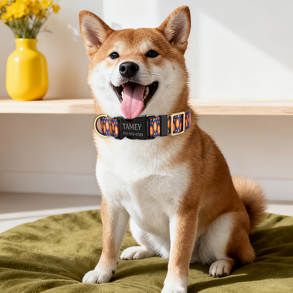 6 Colors/5 Sizes Pet Dog Collar and Leash Set, Customizable