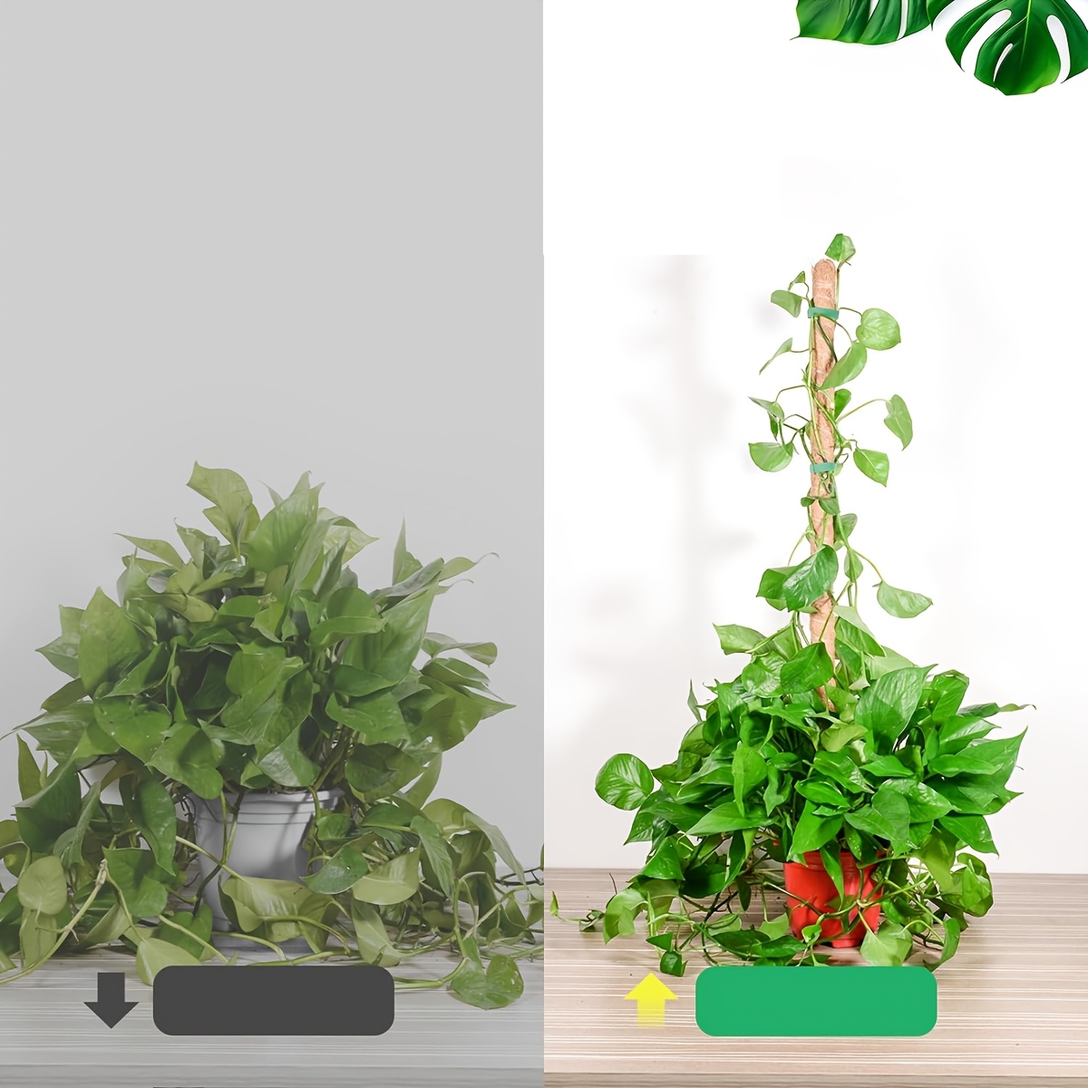1pc FlexiPlant Metal Moss Pole for Monstera and Climbing Plants, Indoor Plant Support Stake Frame with Extension