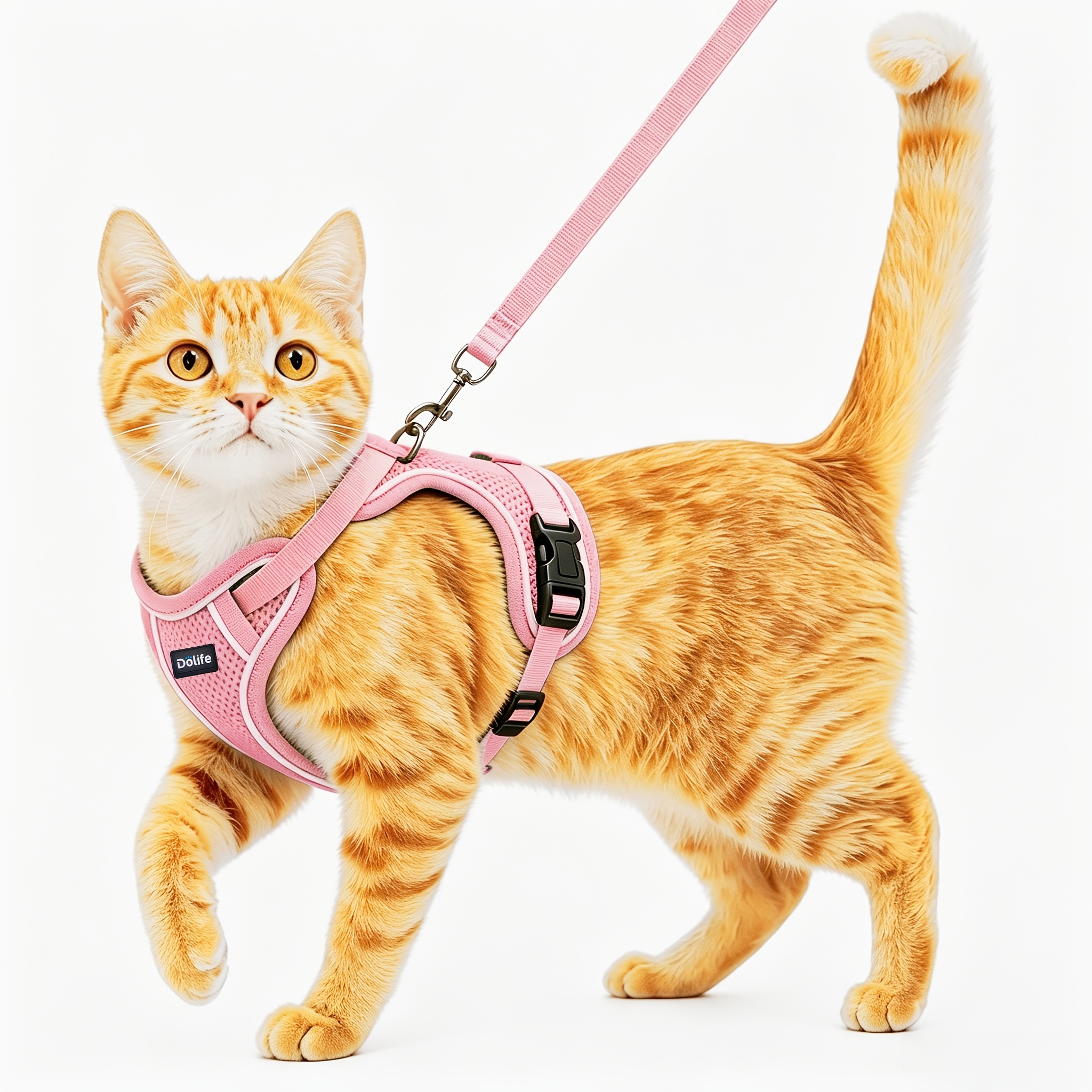 TEMU Cat Harness And Leash Set, Anti-escape, Soft Adjustable Cat Belt, Breathable Comfortable Vest, , Suitable For Outdoor Travel Kitten Harness