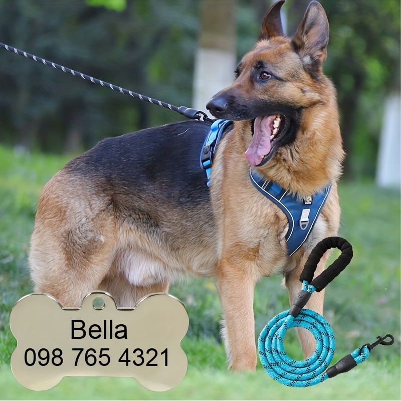 Custom Dog Harness with Engraved Pet ID Tag and Leash Set