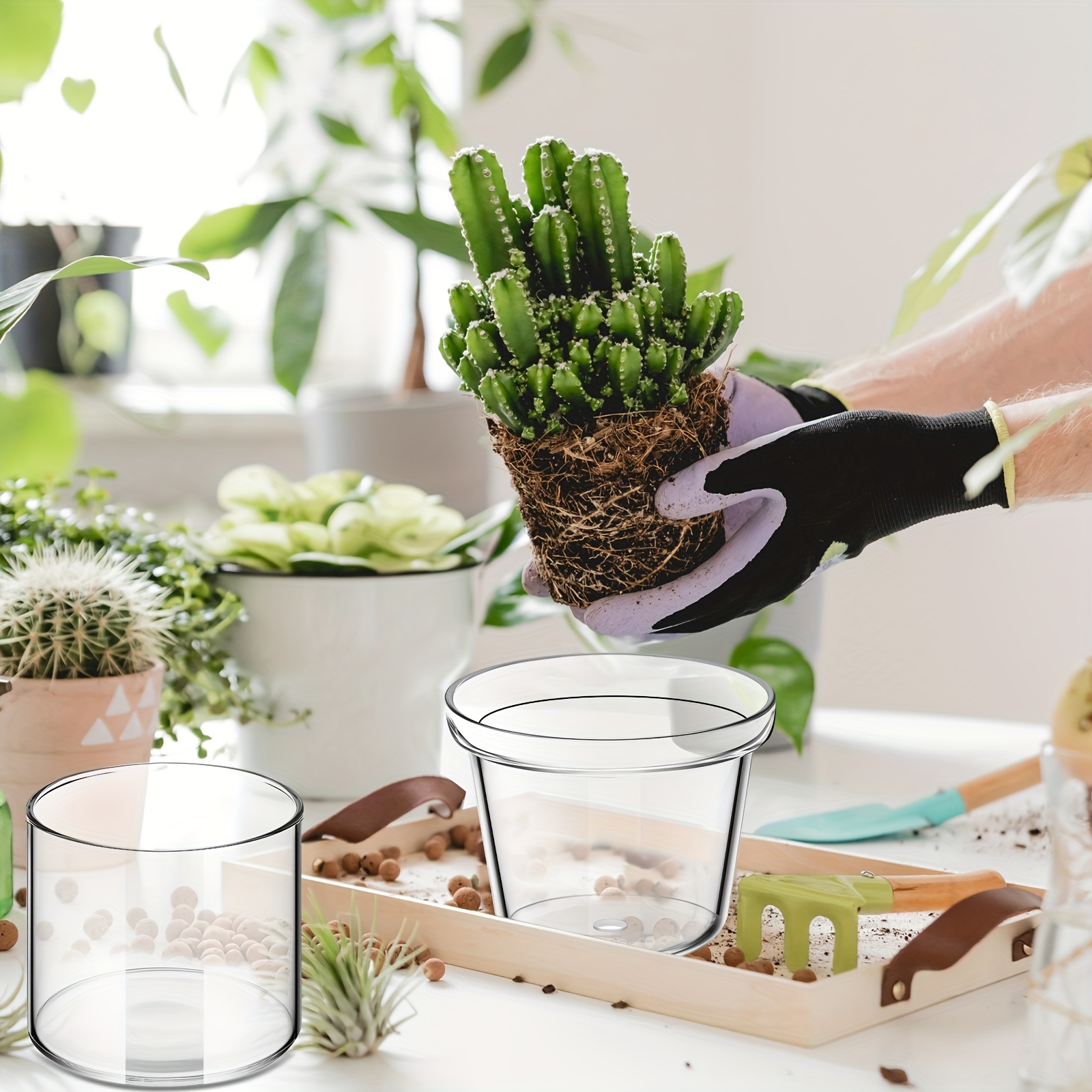 glass planter sold on Temu United States