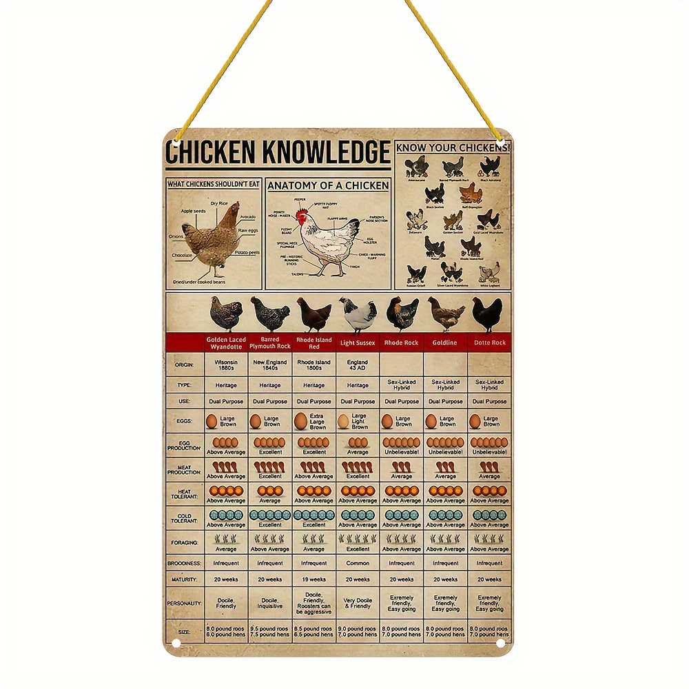 Pozino Chicken All Breeds of Chicken World Education Science Classroom  Chart Metal Tin Sign Great Retro Gifts and Decorative Door Wall School  Bedroom Farm Hospital Metal Sign 12x16 inch : : Home