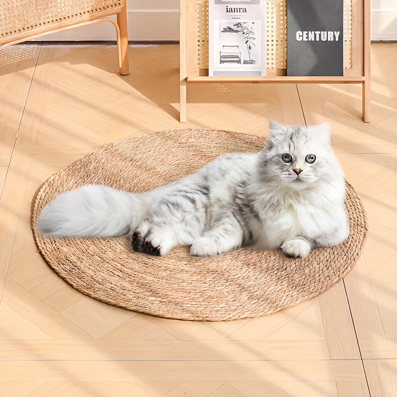 

2-in-1 Cat Scratching Pad & Cooling Mat - Durable Fiberboard, Ideal For Play And Rest