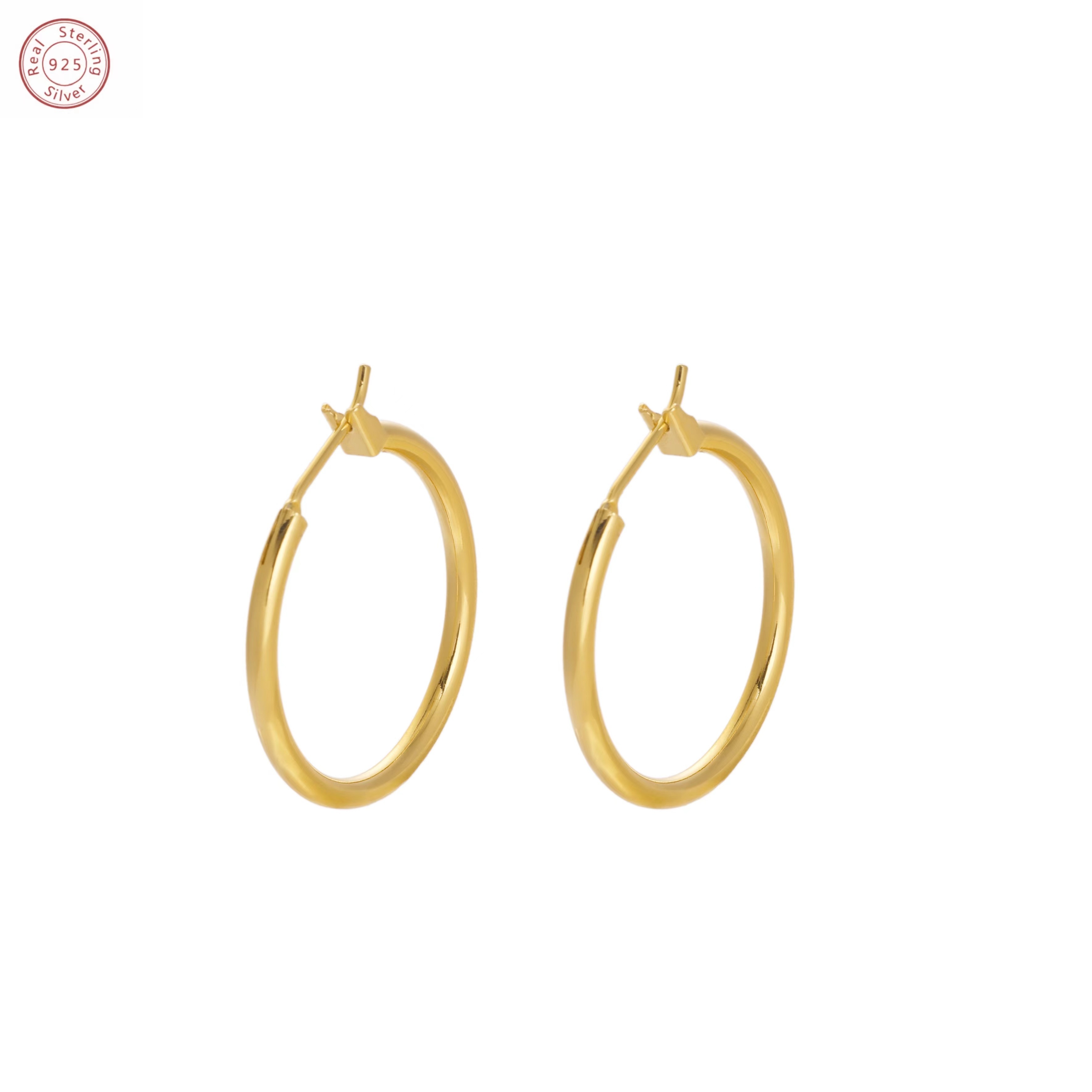 

Exquisite Lock Earrings, Hypoallergenic Material, Suitable For All Occasions, Comes With A Beautiful Gift Box