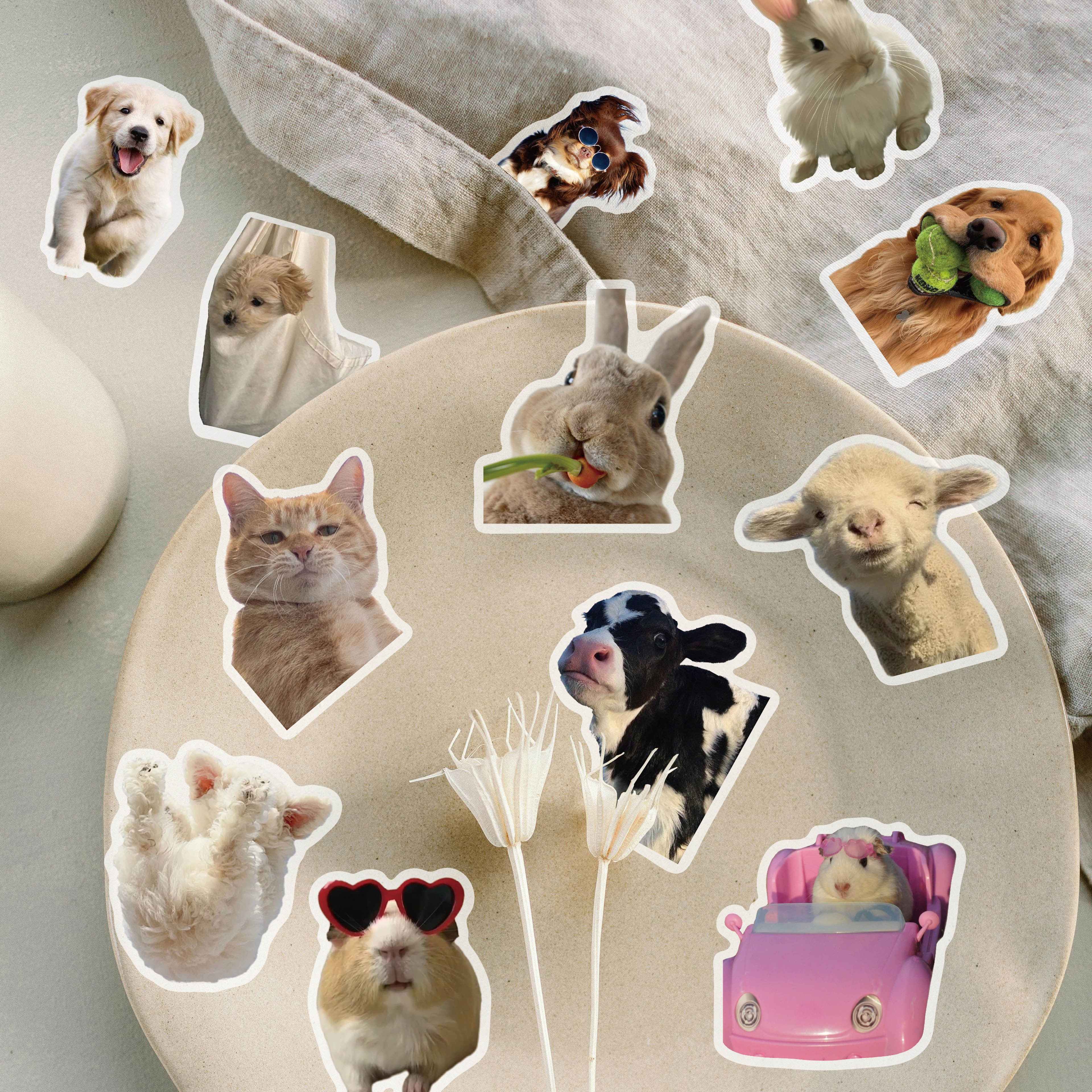 Image of 50pcs Funny Animal Stickers - Waterproof And Transparent Pet Material, Suitable For Decorating Mobile Phones, Laptops, Suitcases, Mirrors, Guitars, Helmets, Etc