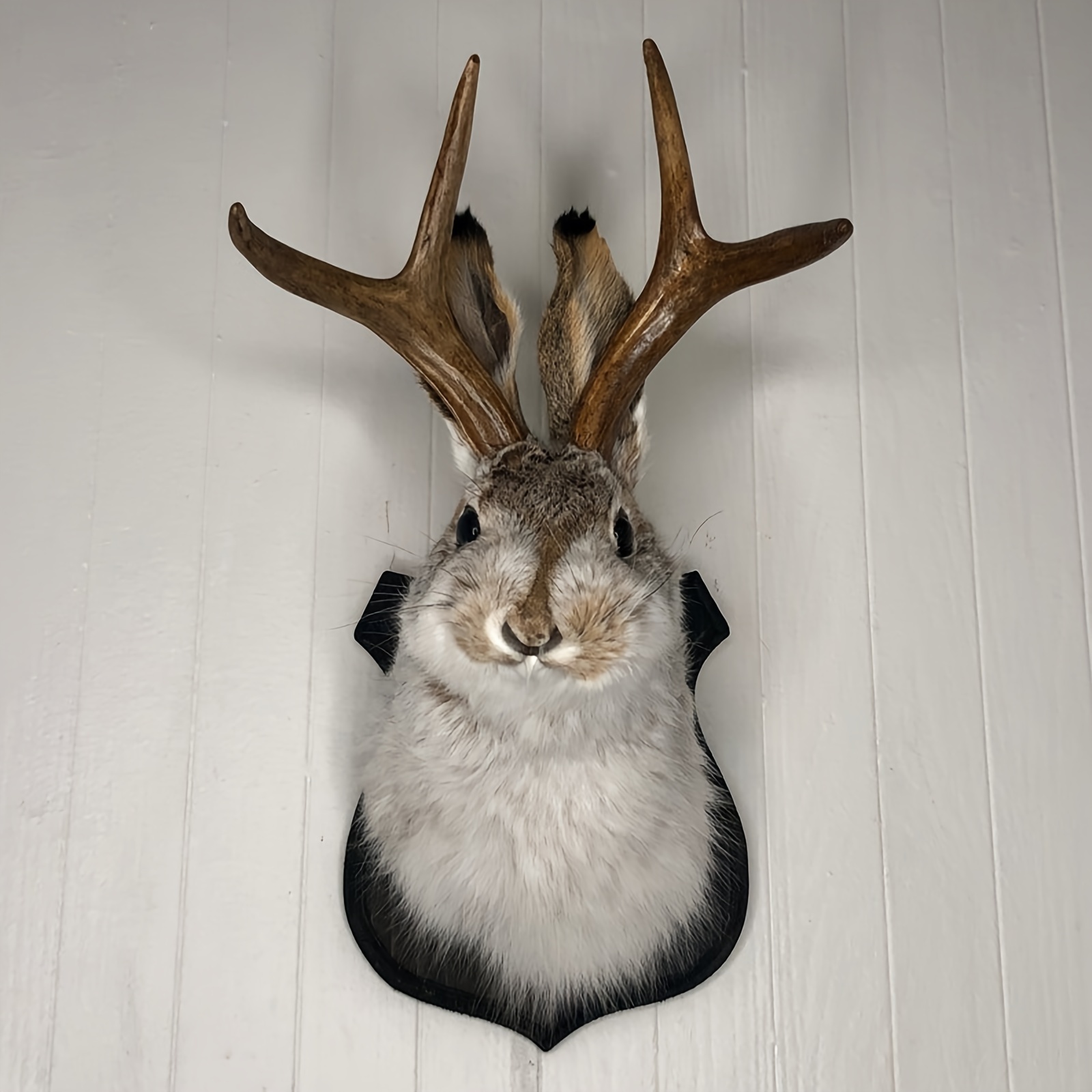 

Easter Bunny Wall Decor, Taxidermy, Animal Head Wall Decor, Animals Wall Art, Resin Deer Head Animal Wall Mount, For Home Wall Decoration