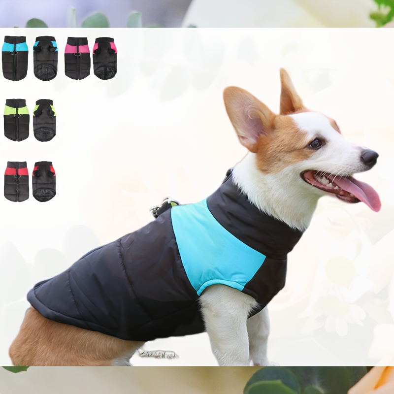 

Dog - - , Turtleneck, Padded For Small To Breeds