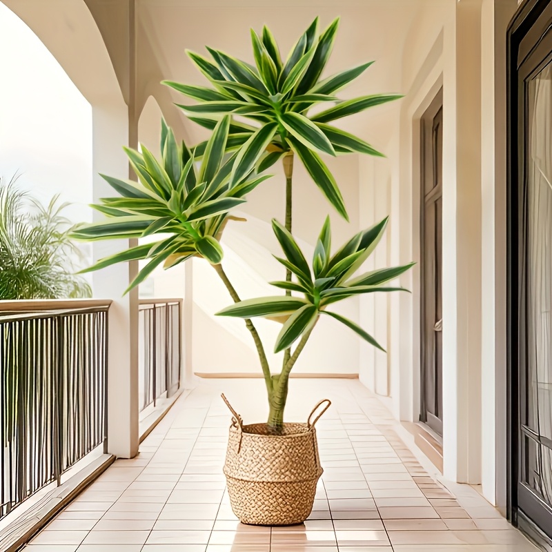 plants and greenery sold on Temu United States
