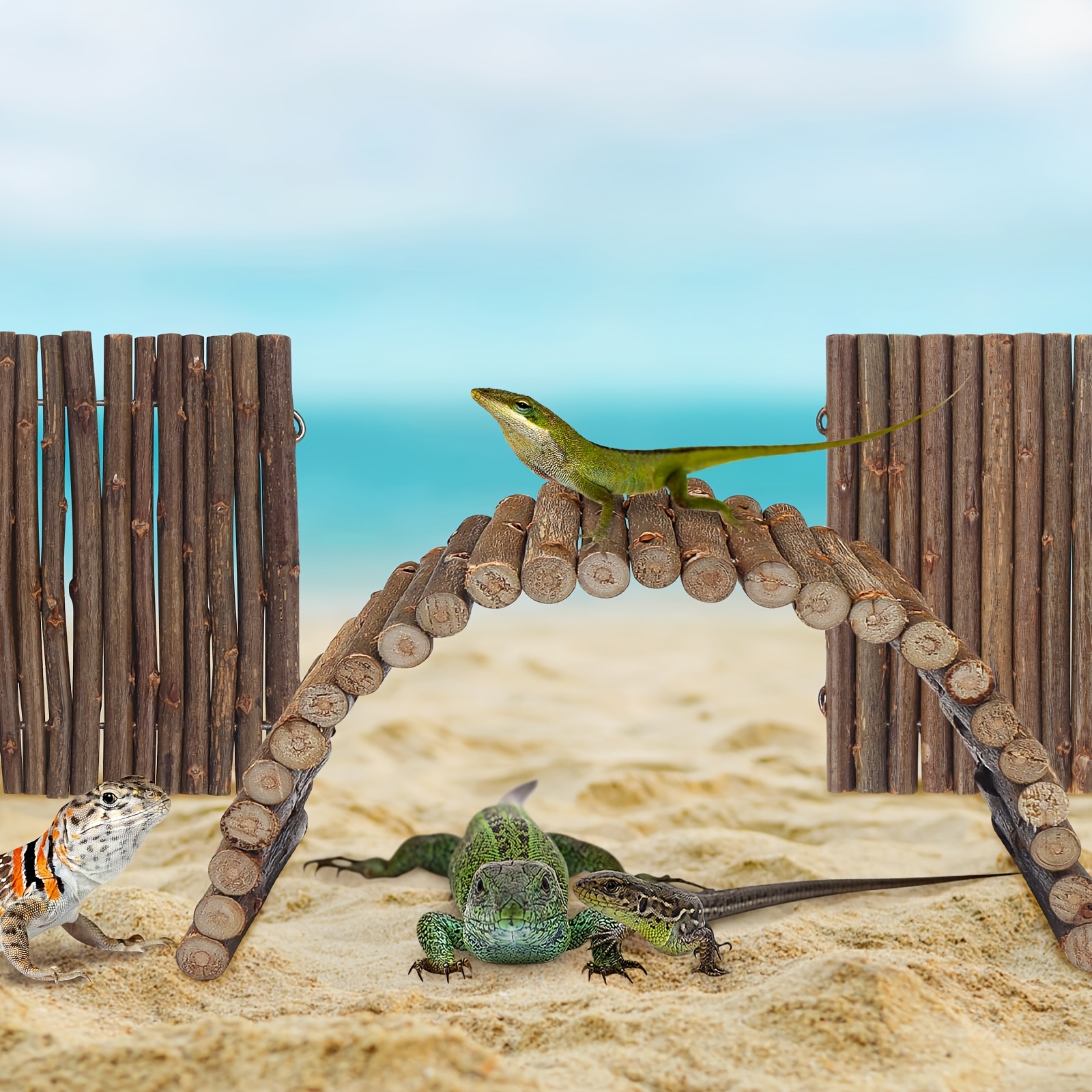 2pcs Reptile Hideout Hermit Crab Bendable Bridge
