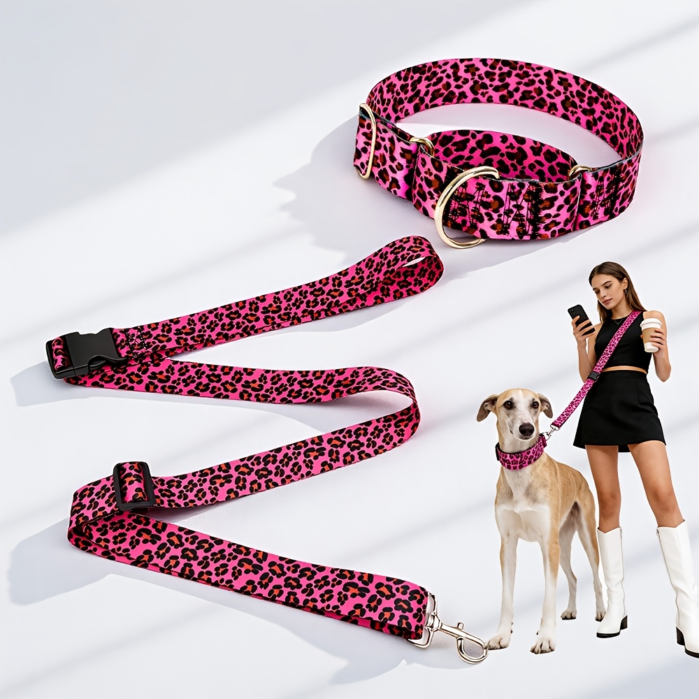 Multi-Functional Dog Collar and Leash Set for Outdoor Walks