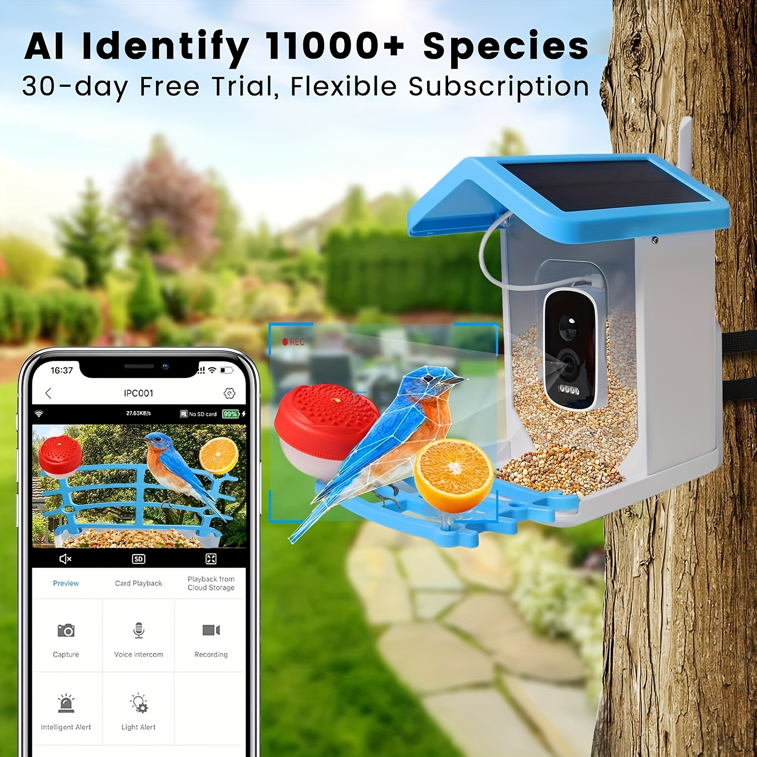 Mangiatoia intelligente per uccelli con telecamera HD 2.5K visione notturna solare a bassa potenza IP66 impermeabile 4G o WIFI collegare mangiatoia per specie di uccelli reali  15