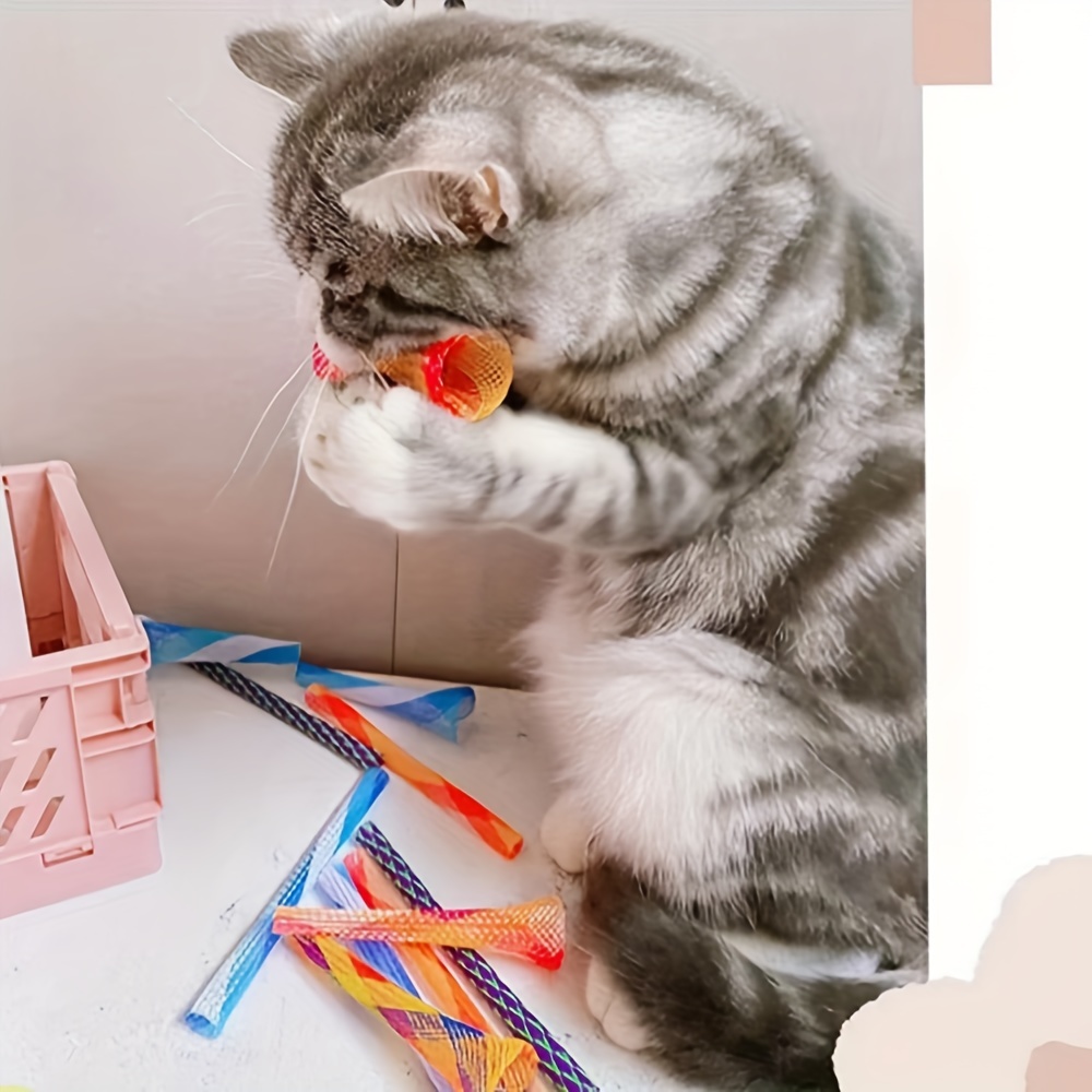 Cat toys and accessories best sale