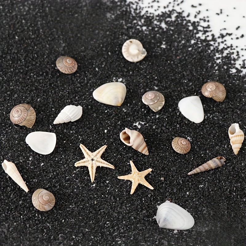 

- Art Set - , & Starfish For Diy And Pedicures