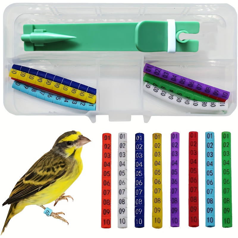 

Bracelets Numérotés pour Pattes d'Oiseaux, 30/50/80/100pcs - Plastique Durable, Idéal pour les Pinsons & , Système d'Identification Facile à Utiliser