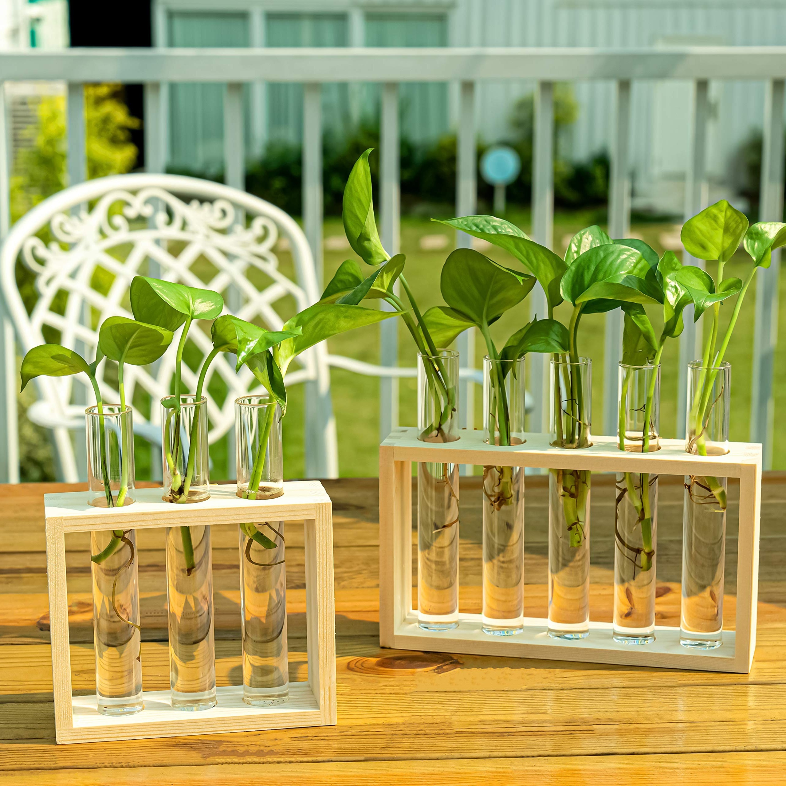 12 PCS Glass Test Tubes With Bamboo Wooden Ack Fo Paty