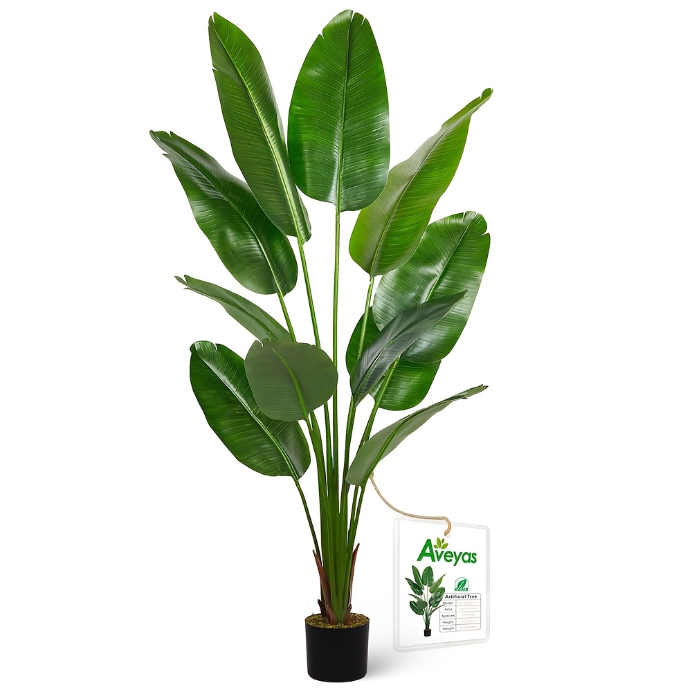 house plants sold on Temu United States