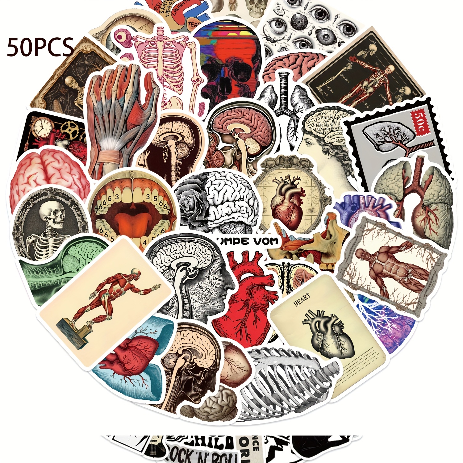 50pcs Retro Scientific Anatomy Stickers Pack | Vinyl Aesthetic Stickers For , Journaling, Bumper, Skateboard, Water Bottles, Cartoon, Hard Hat, Car Sticker