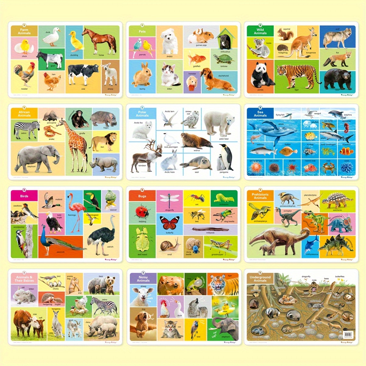 english children&rsquo;s preschool enlightenment reading materials - Temu