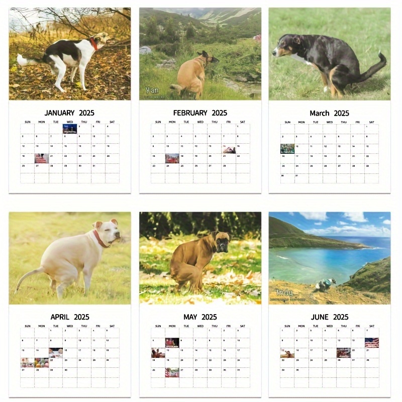 2025 Dog Poop Calendar Durable Full page Monthly Design Temu