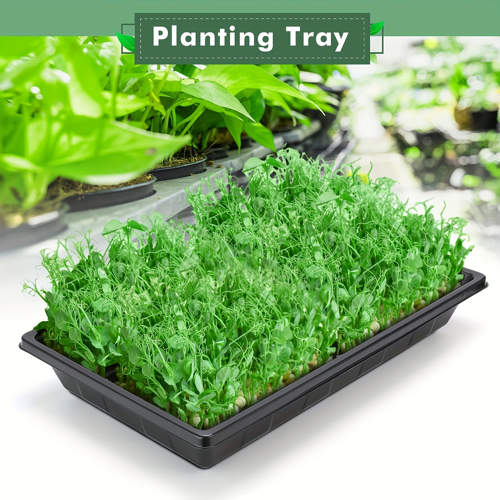 

Plastic Seedling Trays - 4/6/8 Pack Germination Trays Without Drainage Holes, Black Plant Growing Trays For , Seedlings, Planting, Propagation, No Electricity Required