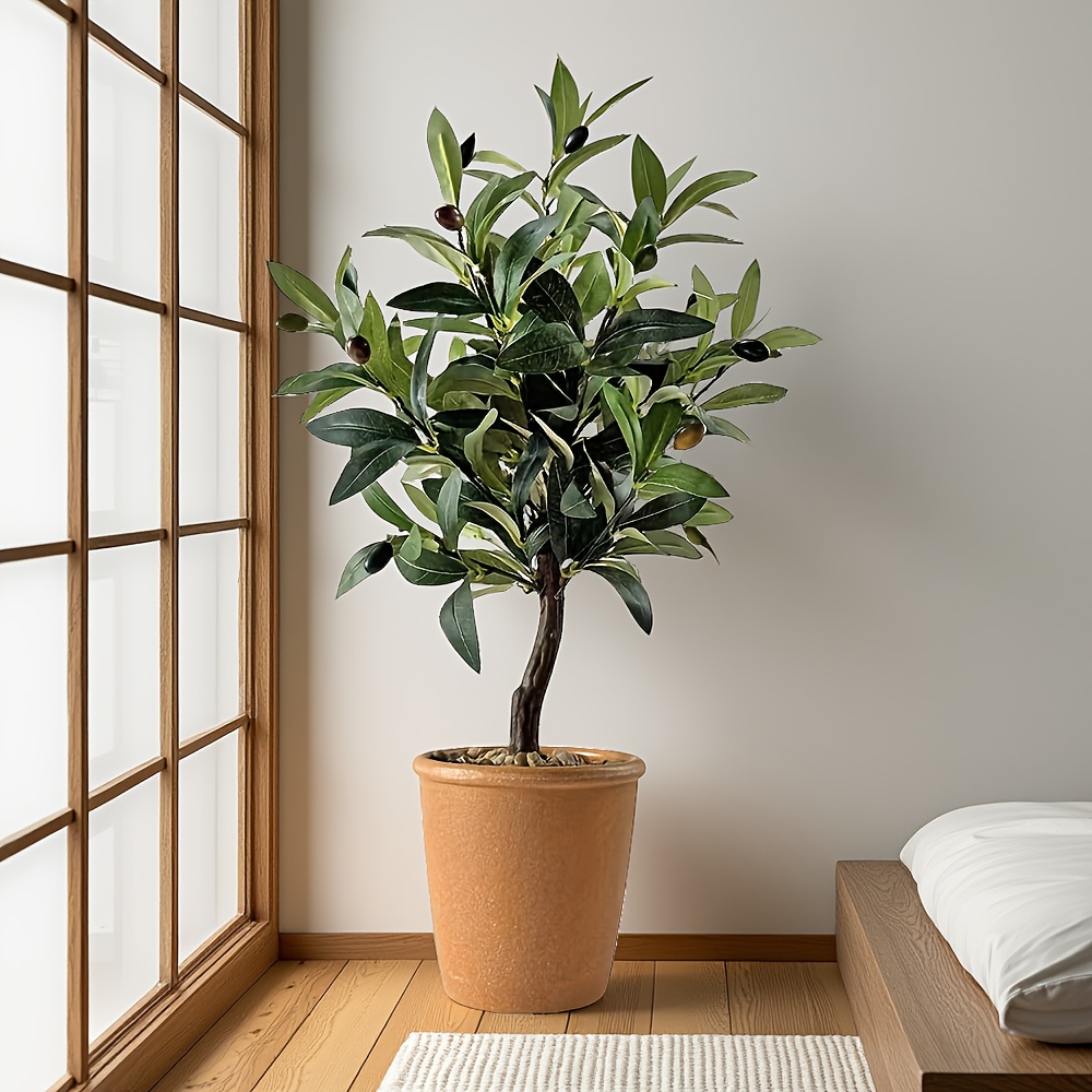 Miniature, Cute Little Olive Tree