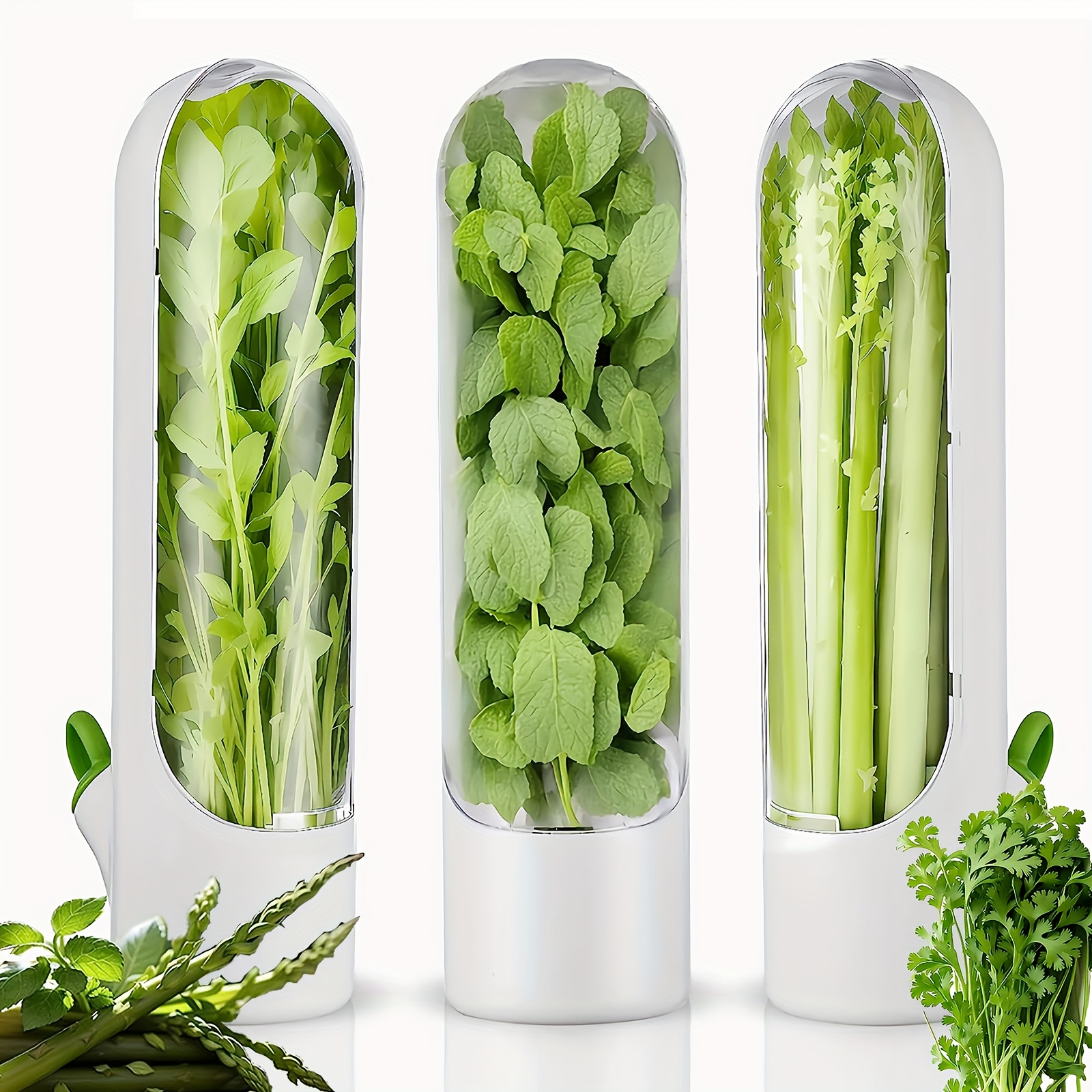 

1/3pcs Refrigerator Vanilla Preserver Refrigerator Container Vegetable Fresh Container Used For Mint Refrigerator Storage , , Vanilla Storage Fresh 2-3