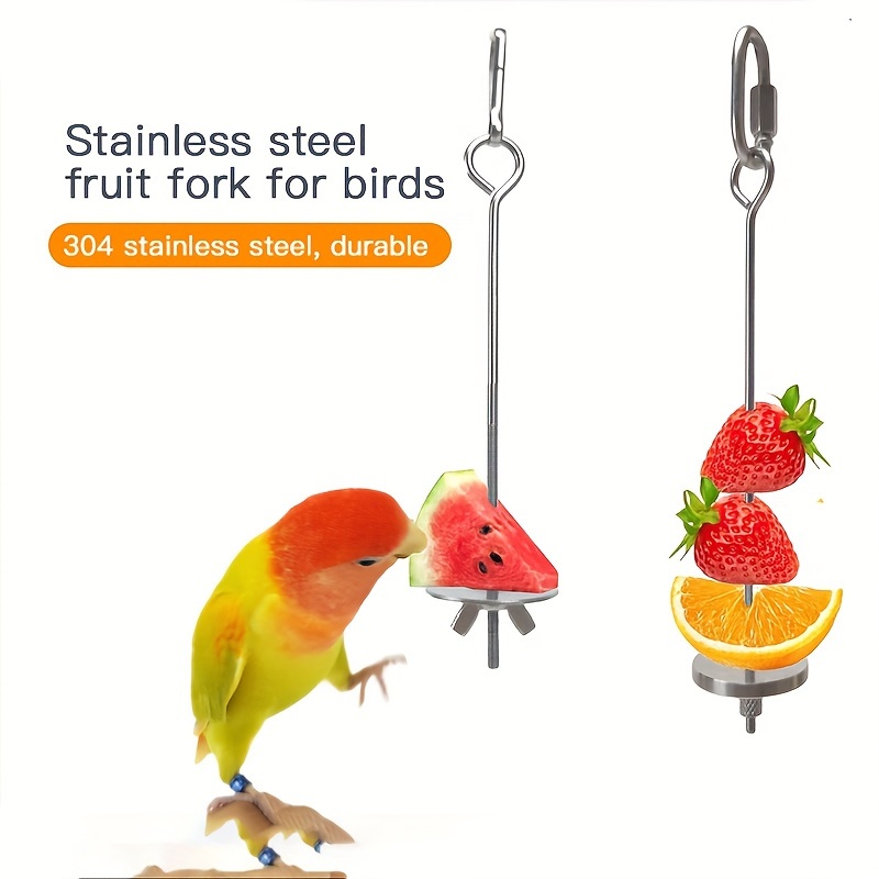 

1pc Brochette à fruits en acier inoxydable pour perroquet, outil d'alimentation pour cage à oiseaux, fournitures pour oiseaux