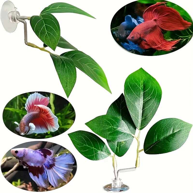 

1pc Betta Fish Accessory - Pvc Artificial Multi-leaf Aquarium Plant With Suction Cup, For Siamese Fishes & Breeding Leaves