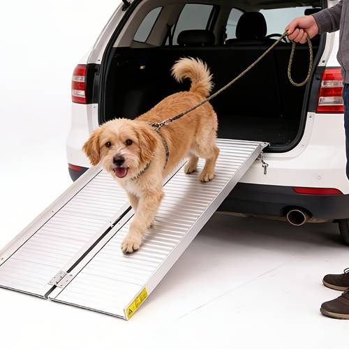 dao wan zhe ultra light ramp heavy duty portable ramp with configuration load capacity 300 0 kg suitable for strollers stairs and outdoor use foldable design for easy portability
