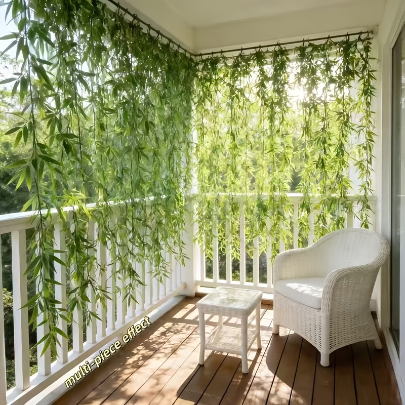 indoor bamboo plant - Belgium