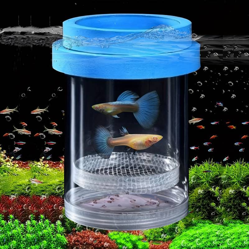 betta fish breeding box WishLotus Box, Suspended Breeder for Fish Tank with Suction Cups, Multi-Funtional Aquarium Fish Isolation Box Hatchery Incubator for Shrimp Clownfish (L) : Pet Supplies High quality suckers can used to fix the product conveniently. Betta Splendens Part 2 (