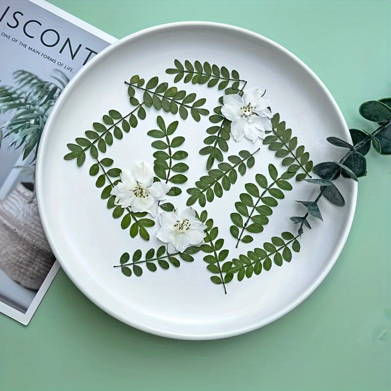 

24pcs Dried Pressed Plant Leaves, Suitable For Diy Photo Frames, Bookmarks, Decorative Painting, Pendant, Candle, Jewelry Making, Phone Case Decoration