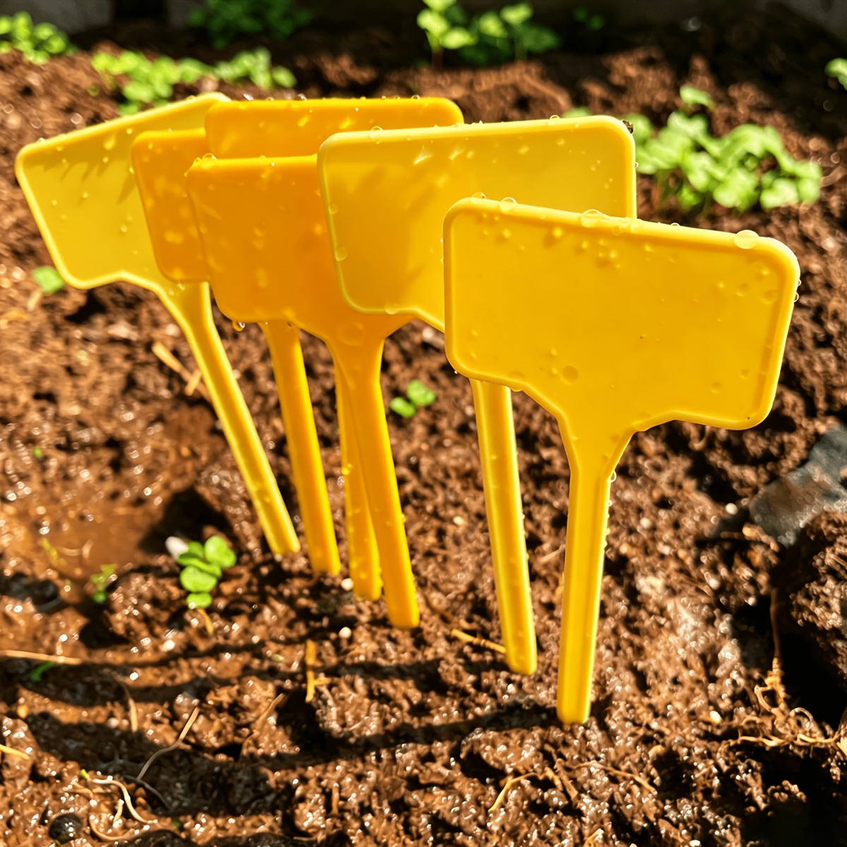 20pcs set farm specific snail and slug trap kit   5 jars 5 lids 10 garden labels reusable plastic material suitable for large vegetable gardens and   gardening tool Product details 6