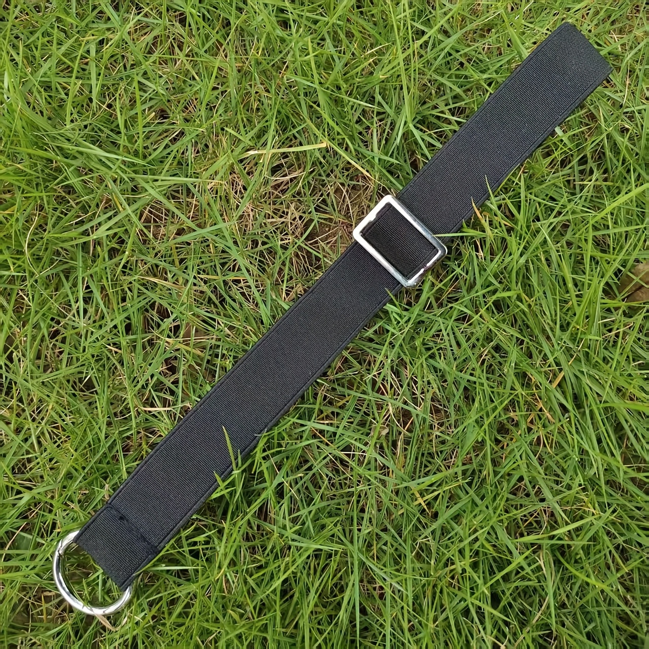 TEMU Horse Holder, Equestrian Ornament, Riding Equipment
