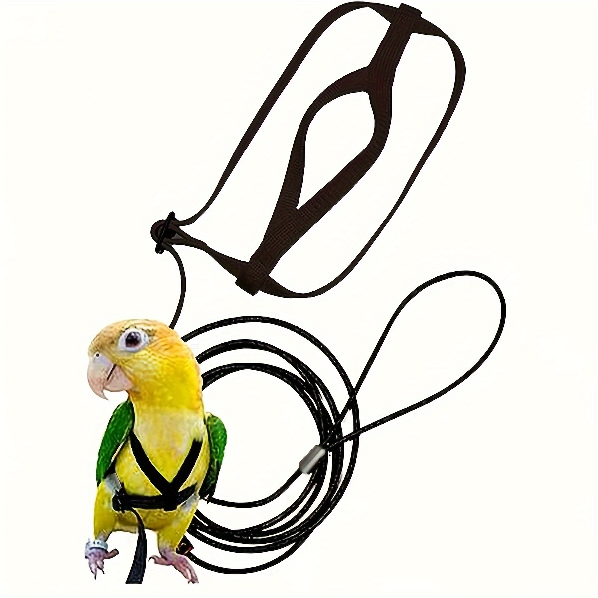 

1pc Adjustable Bird Harness Leash, Parrot Training Rope Bird Flying Harness Traction Rope For Bird